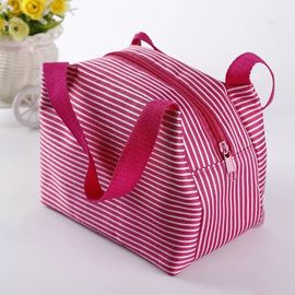 China Eco Friendly Pink Insulated Cooler Bags With Canvas Fabric Material Wash In Water supplier
